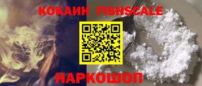 шишки Лесосибирск