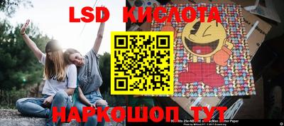 шишки Лесосибирск