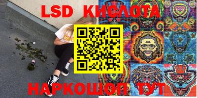 шишки Лесосибирск