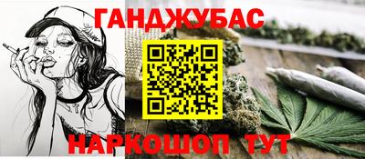 шишки Лесосибирск