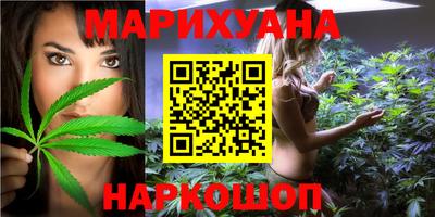 шишки Лесосибирск