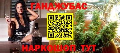 шишки Лесосибирск